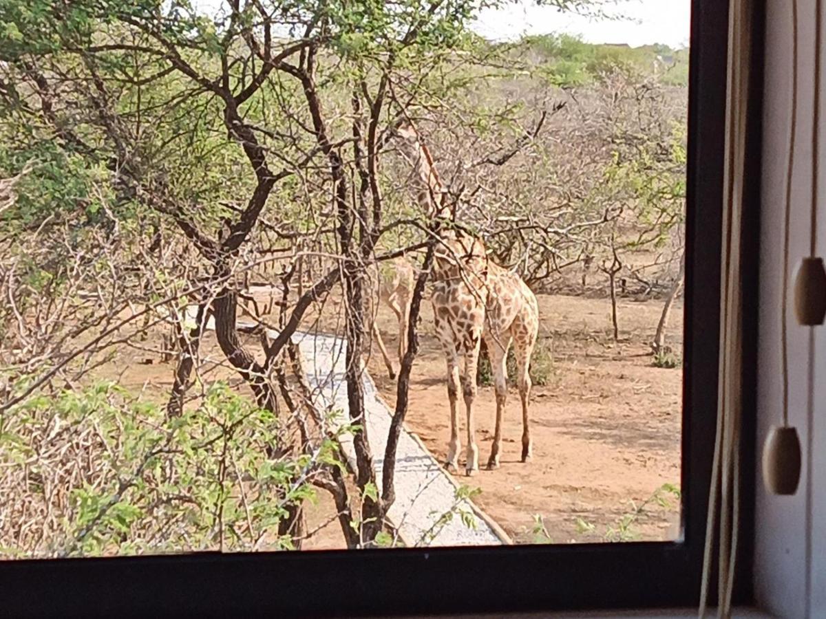Marloth Kruger View Marloth Park Exterior foto