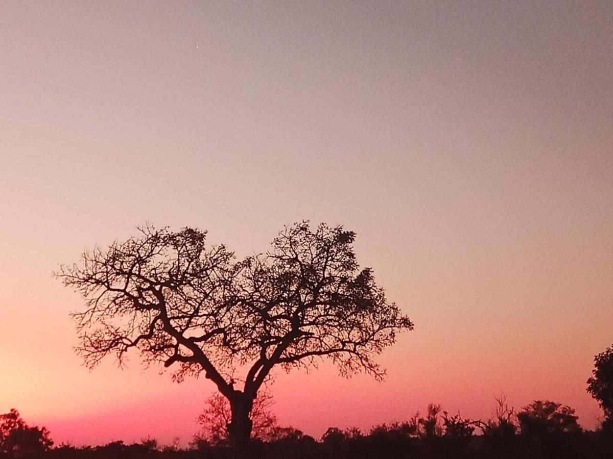 Marloth Kruger View Marloth Park Exterior foto