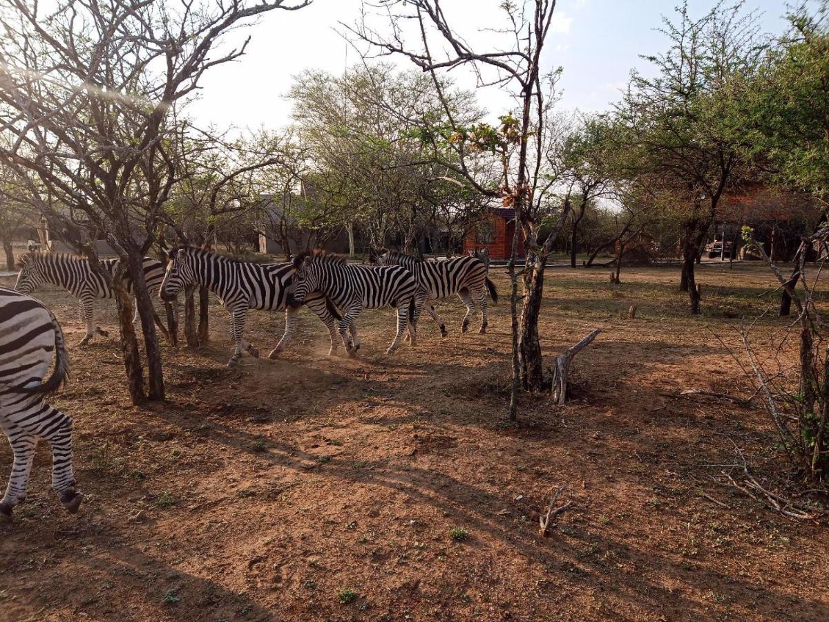 Marloth Kruger View Marloth Park Exterior foto