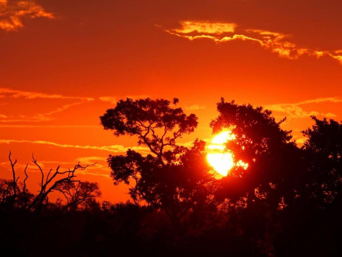 Marloth Kruger View Marloth Park Exterior foto